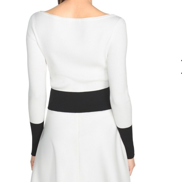 WHBM Set: A Line Skirt (8) & Cropped Sweater (L) - Picture 4 of 8